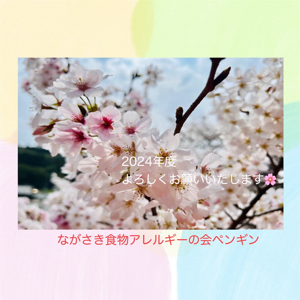 f:id:allergy_nagasakikko:20240401204404j:image f:id:allergy_nagasakikko:20240401204404j:image