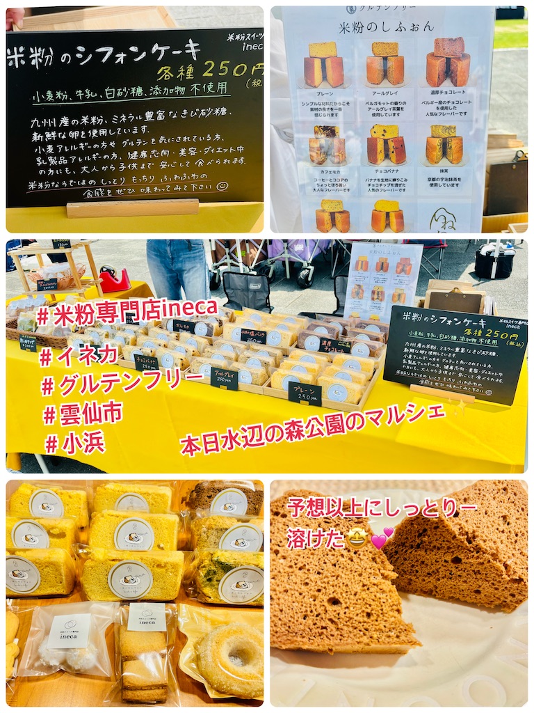 f:id:allergy_nagasakikko:20240601122309j:image