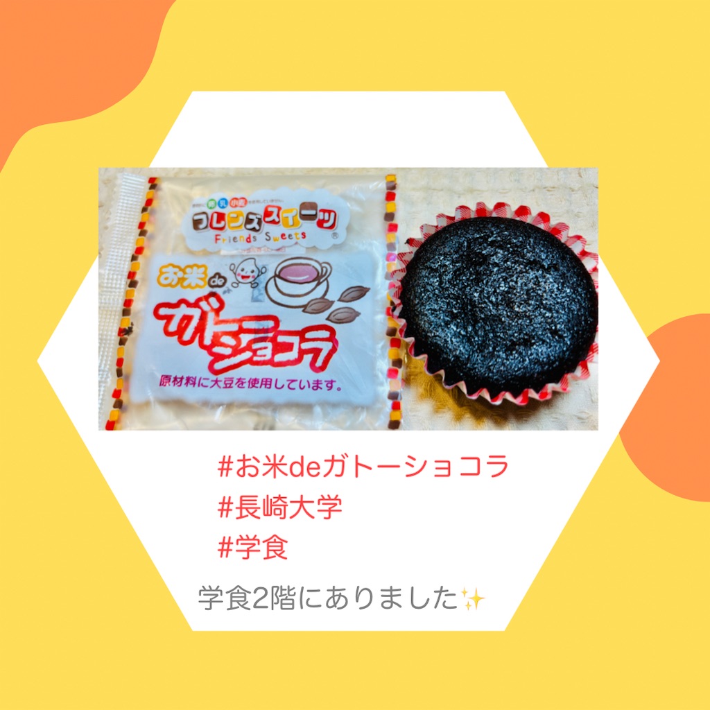 f:id:allergy_nagasakikko:20240718215015j:image