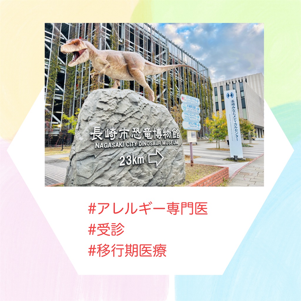 f:id:allergy_nagasakikko:20241223200946j:image f:id:allergy_nagasakikko:20241223200946j:image