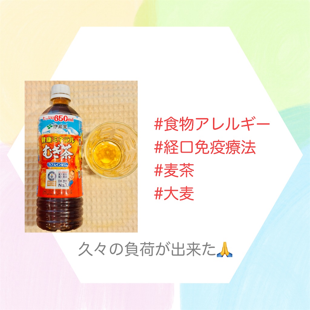 f:id:allergy_nagasakikko:20250329195300j:image