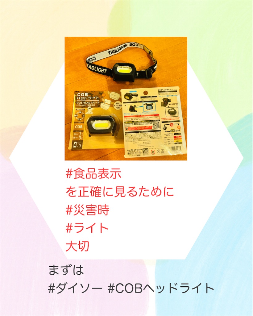 f:id:allergy_nagasakikko:20250525204218j:image