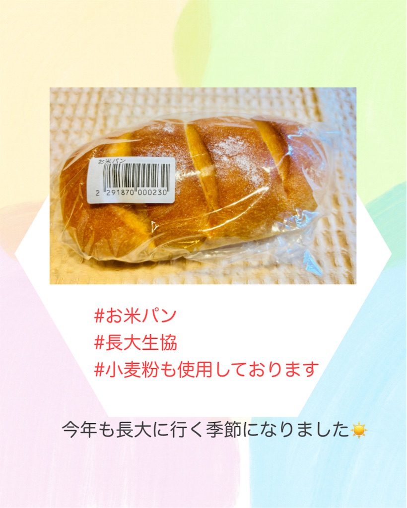 f:id:allergy_nagasakikko:20250613211133j:image