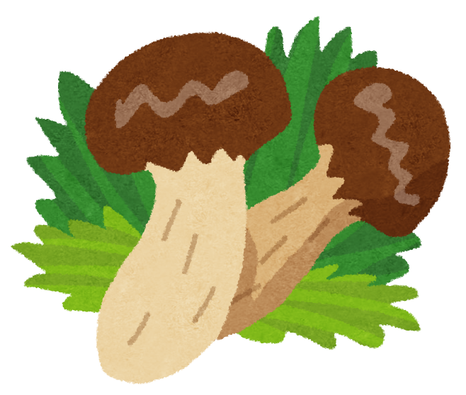 f:id:allmashit:20170225175158p:plain