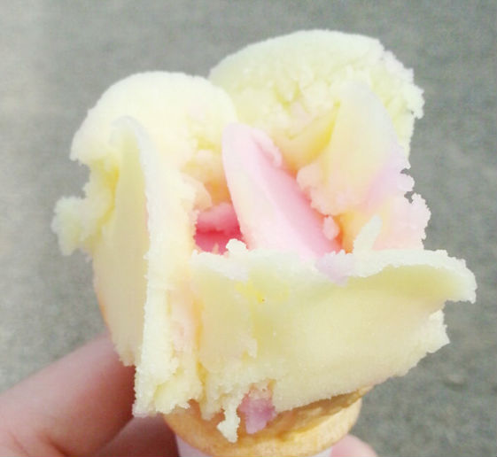 f:id:allmashit:20170826200856j:plain