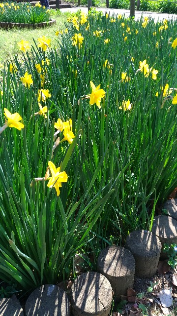 f:id:allmyfavorites:20190321183923j:image