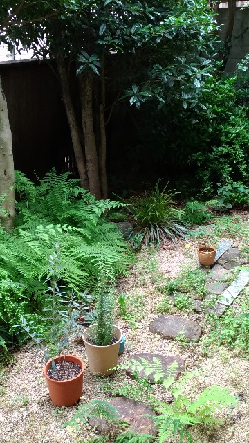 f:id:allmyfavorites:20191109095042j:image