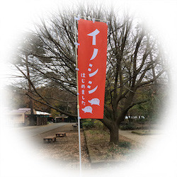 井の頭自然文化園