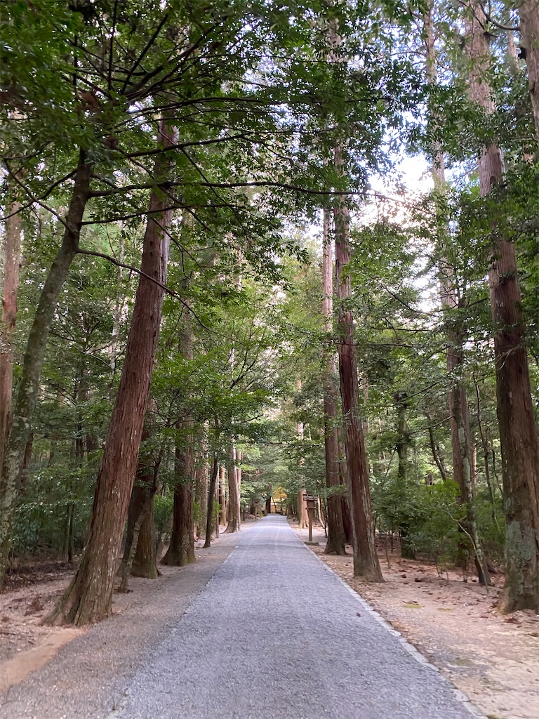 自然豊かな参道