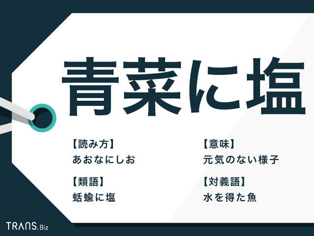 f:id:allsunday853:20201203065023p:plain