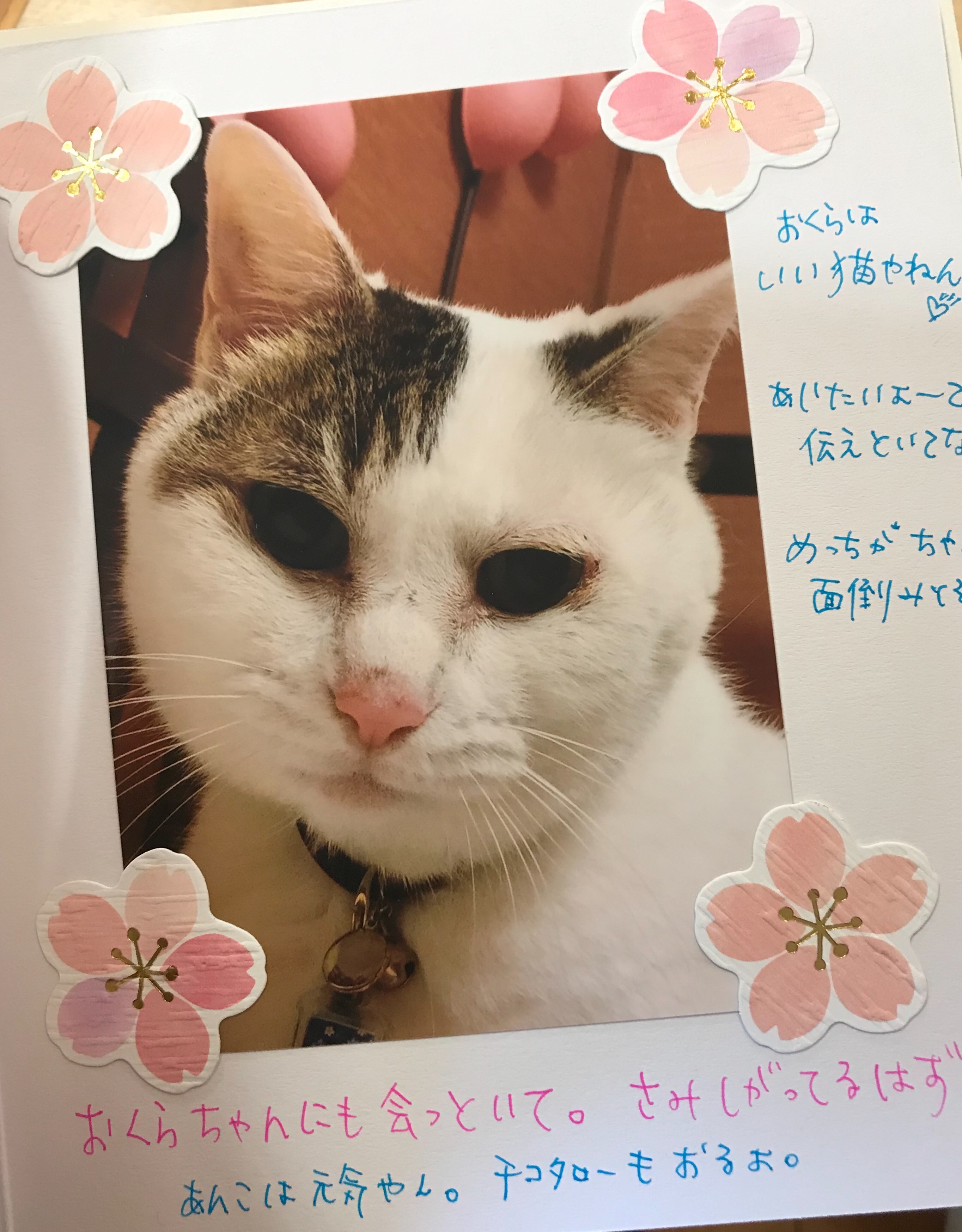 f:id:ally10jp:20190310201715j:image