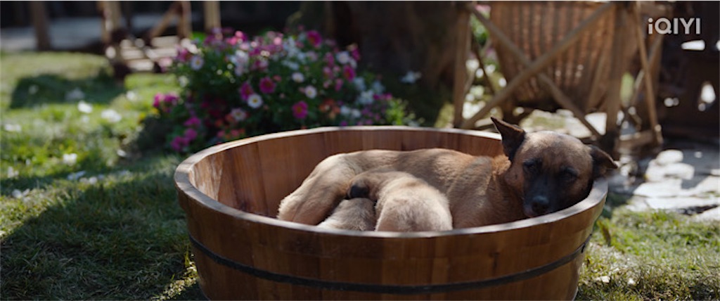 f:id:almamaxxx:20250731234231j:image