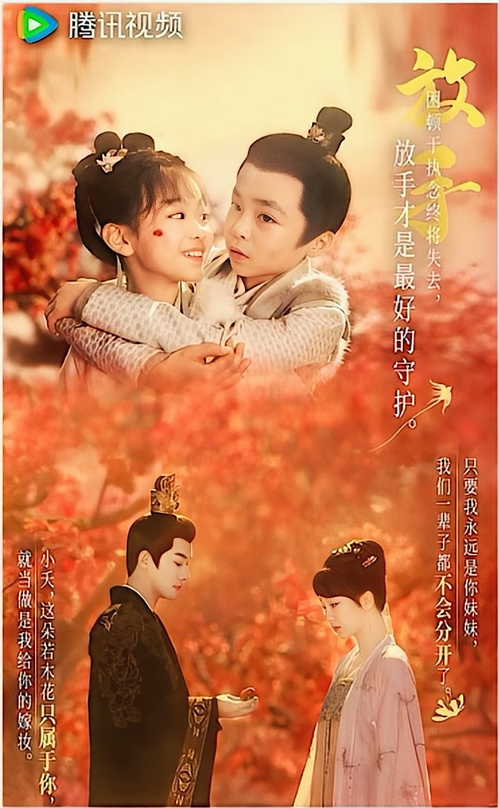 長相思 その2 - あおの華流記