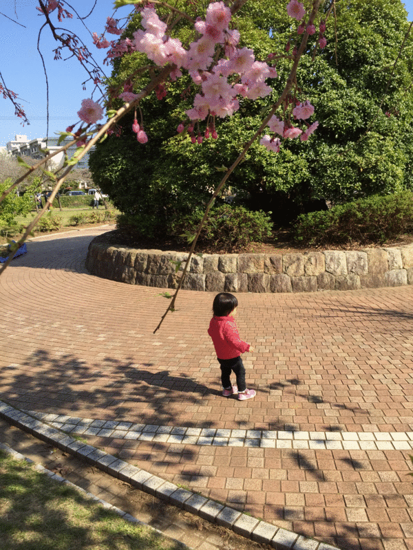f:id:almamia:20150412150331g:plain