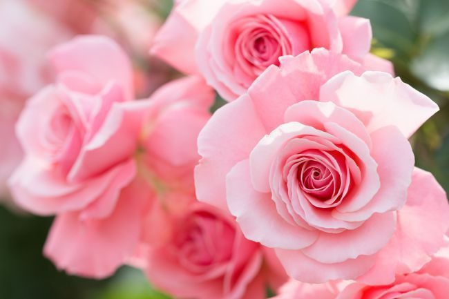 f:id:almamia:20160619115959p:plain