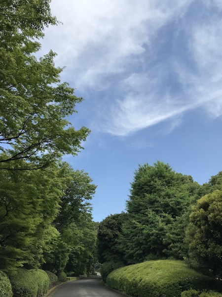 f:id:almater2014:20180607174018j:plain f:id:almater2014:20180607174018j:plain