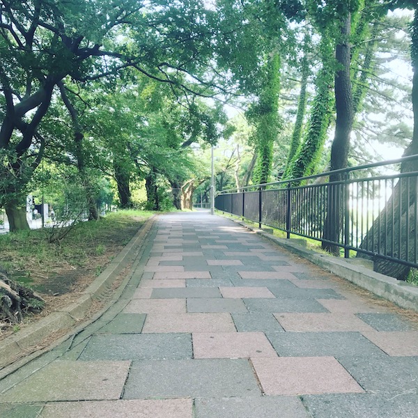 f:id:almater2014:20180812080015j:plain