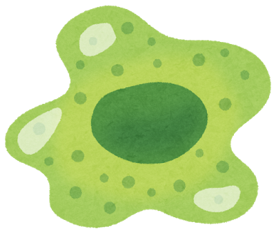 f:id:almater2014:20181101153117p:plain
