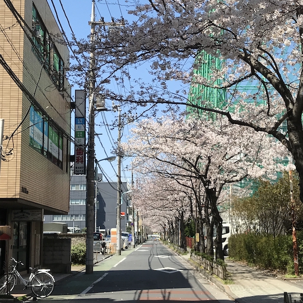 f:id:almater2014:20190403204856j:plain f:id:almater2014:20190403204856j:plain