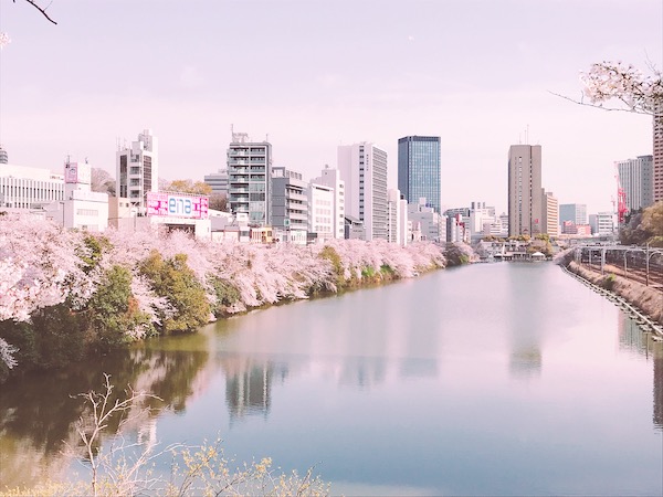 f:id:almater2014:20190406075322j:plain f:id:almater2014:20190406075322j:plain