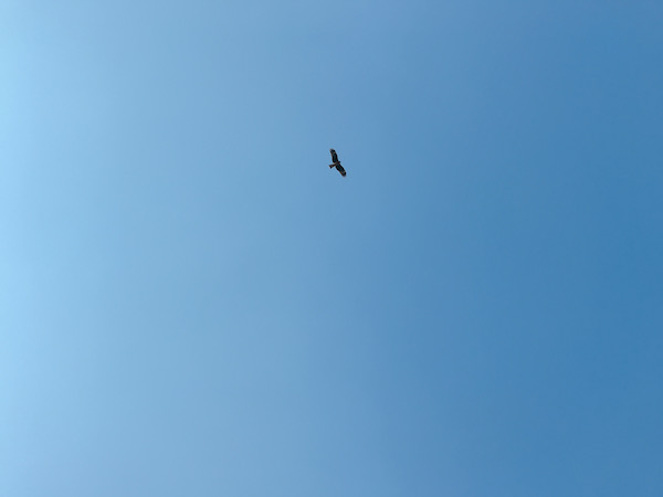 f:id:almater2014:20191110173738j:plain f:id:almater2014:20191110173738j:plain