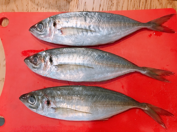 f:id:almater2014:20200629112508j:plain f:id:almater2014:20200629112508j:plain