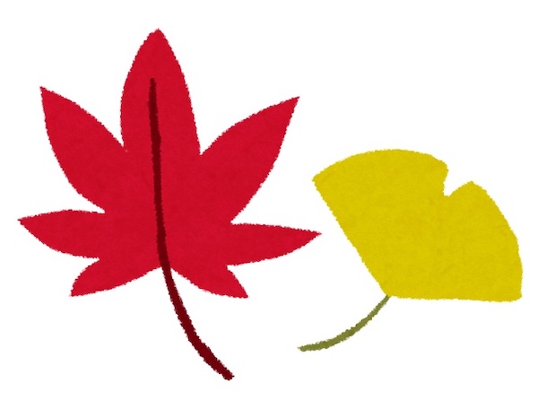 f:id:almater2014:20201130102513j:plain