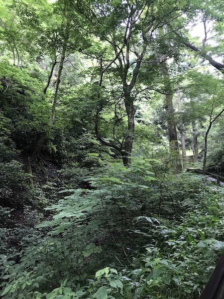 f:id:almater2014:20210623183928j:plain