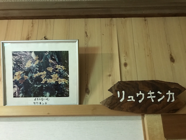 f:id:almater2014:20211017234509j:plain