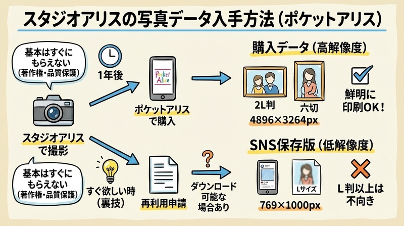 ポケットアリスからデータを入手する方法