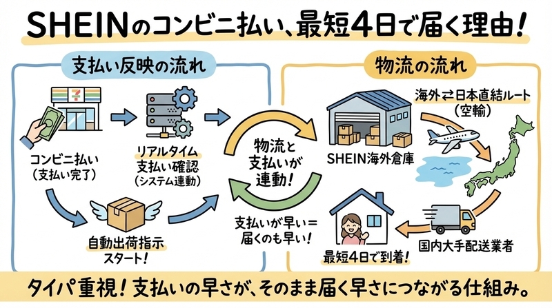 SHEINの配送はどうしてそんなに早い？仕組みを分解して解説