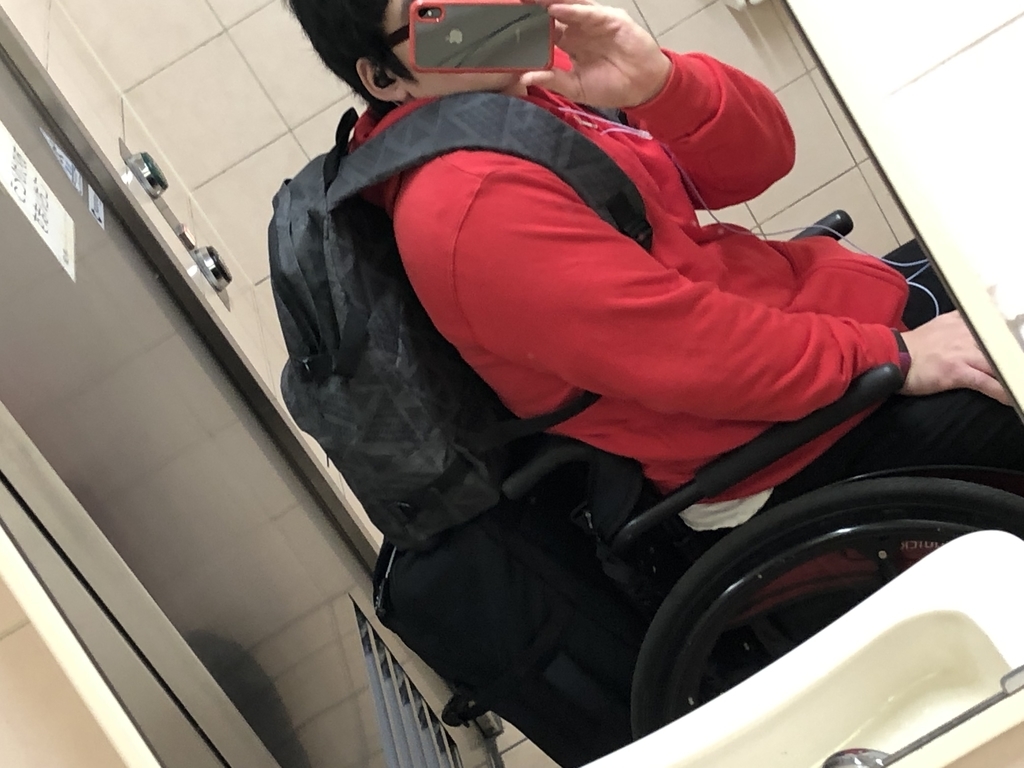 f:id:almichest:20181103142728j:plain f:id:almichest:20181103142728j:plain