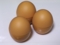 20120903195439