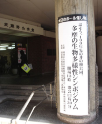 f:id:aloha_4649:20101115105647j:image:left