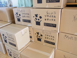 f:id:aloha_4649:20110103215733j:image:left