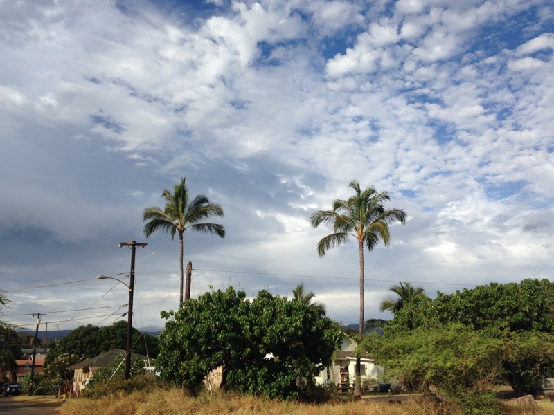f:id:alohaanuenue:20140613115247j:image