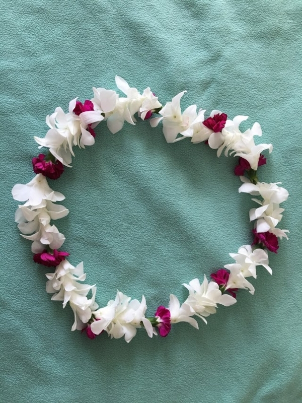 f:id:alohaanuenue:20180317034520j:image