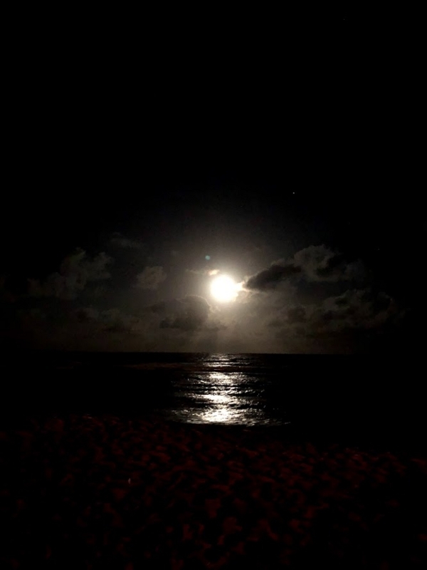 f:id:alohaanuenue:20180710063902j:image