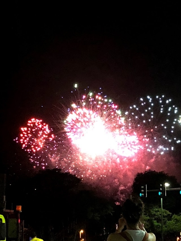 f:id:alohaanuenue:20180723150253j:image