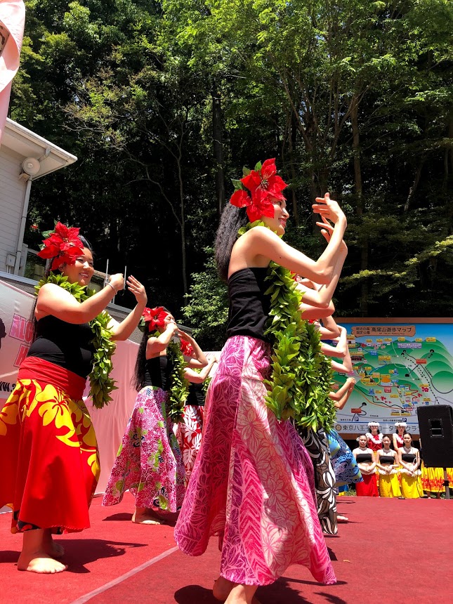 f:id:alohaanuenue:20190525224808j:plain