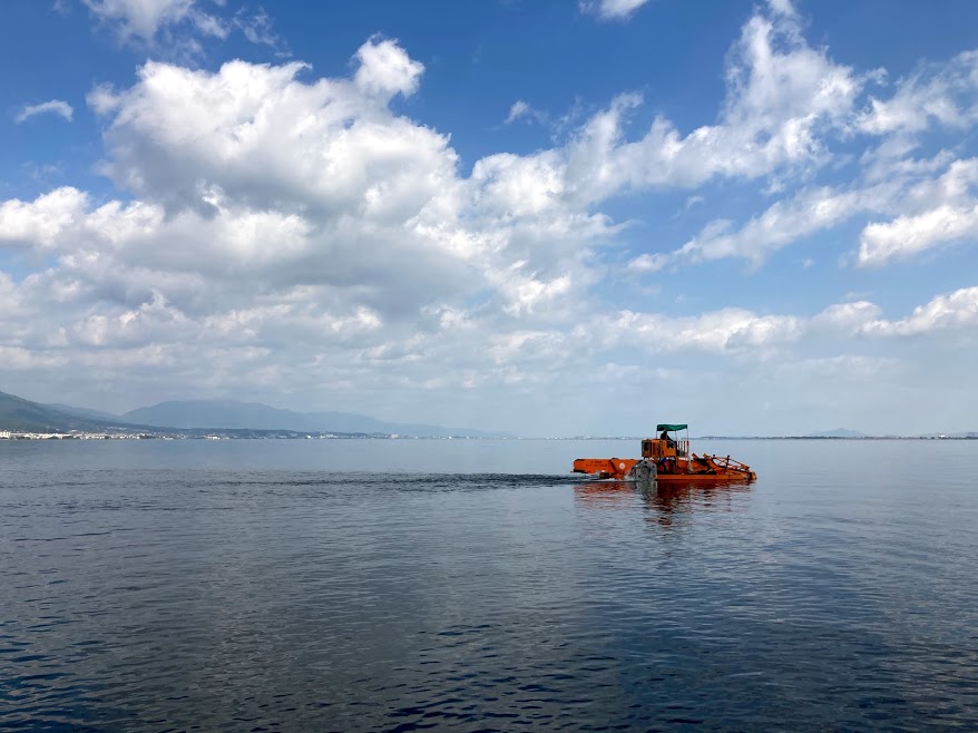 f:id:alohamakanani:20201029163324j:plain f:id:alohamakanani:20201029163324j:plain