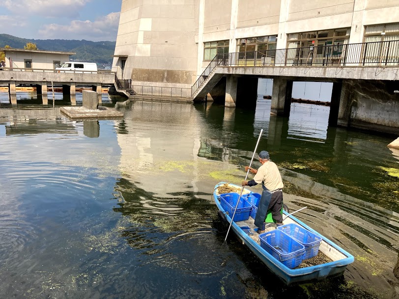 f:id:alohamakanani:20201029174901j:plain f:id:alohamakanani:20201029174901j:plain