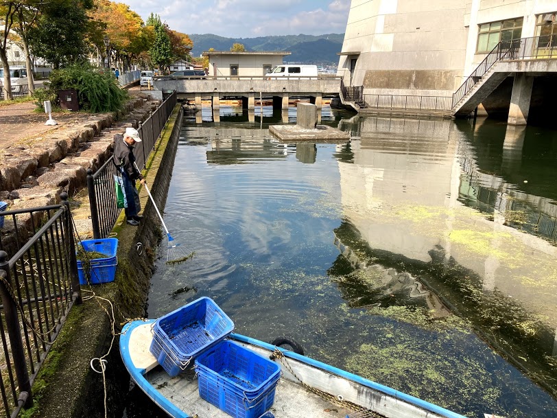 f:id:alohamakanani:20201029174934j:plain f:id:alohamakanani:20201029174934j:plain