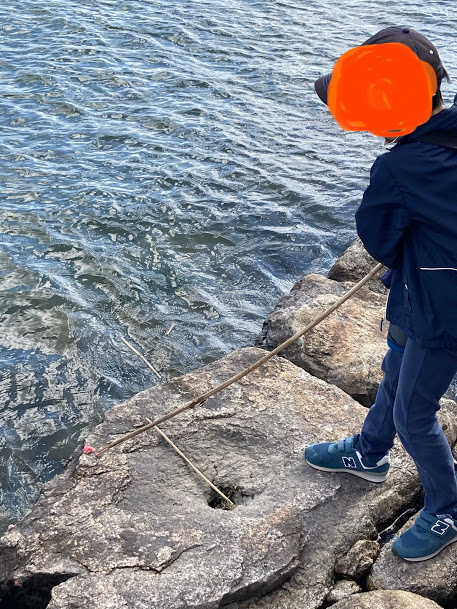 f:id:alohamakanani:20201112153105j:plain