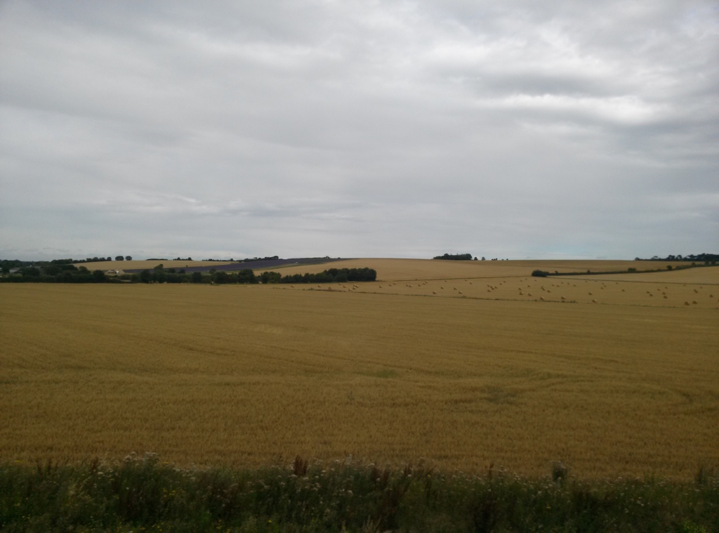 f:id:alone-traveller:20161014185941j:plain