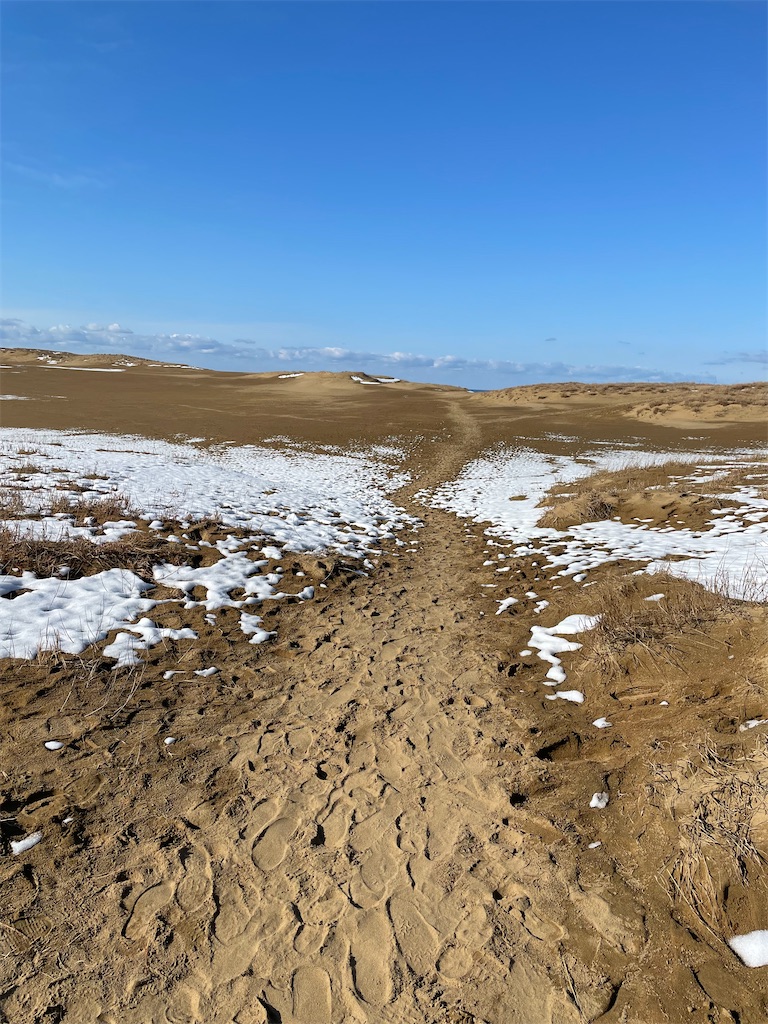 f:id:alonewolf_memorandum:20220210221743j:image