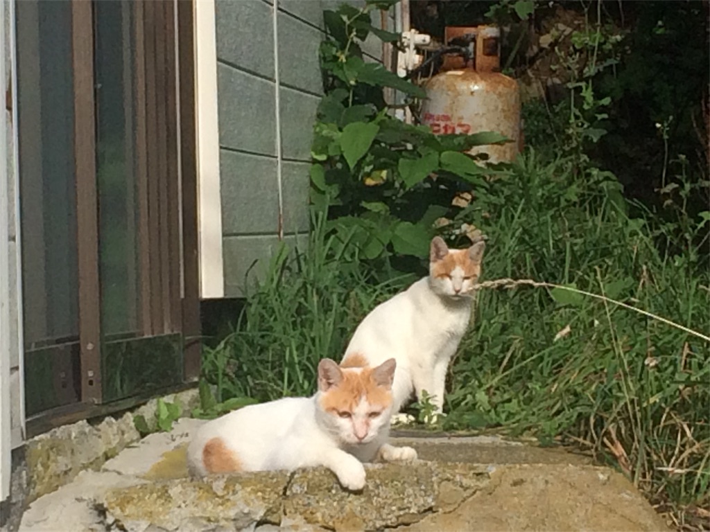 f:id:alovesun:20160917173650j:image