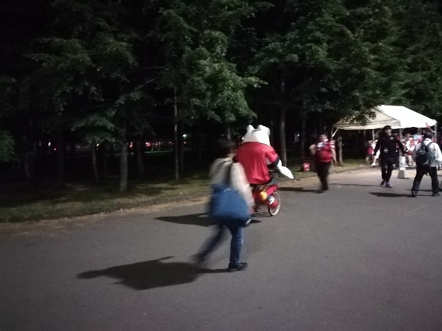 f:id:alovesun:20180724212031j:image f:id:alovesun:20180724212031j:image