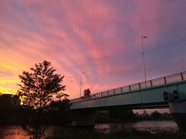 f:id:alovesun:20180801200146j:image