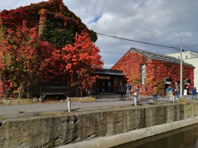 f:id:alovesun:20181030213402j:image
